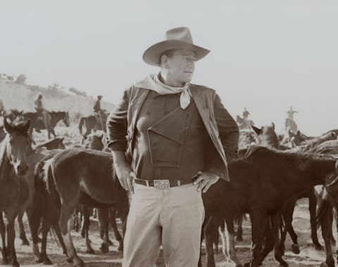 John Wayne: Life on Screen