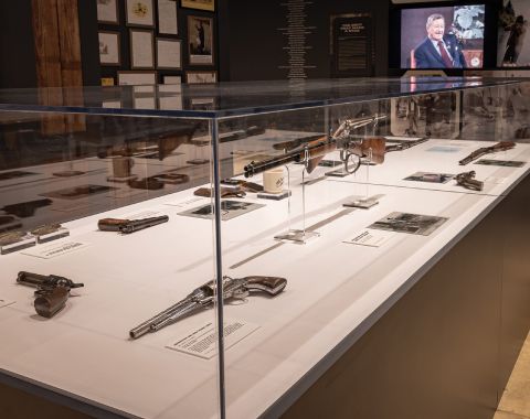 Expansion Gun Case