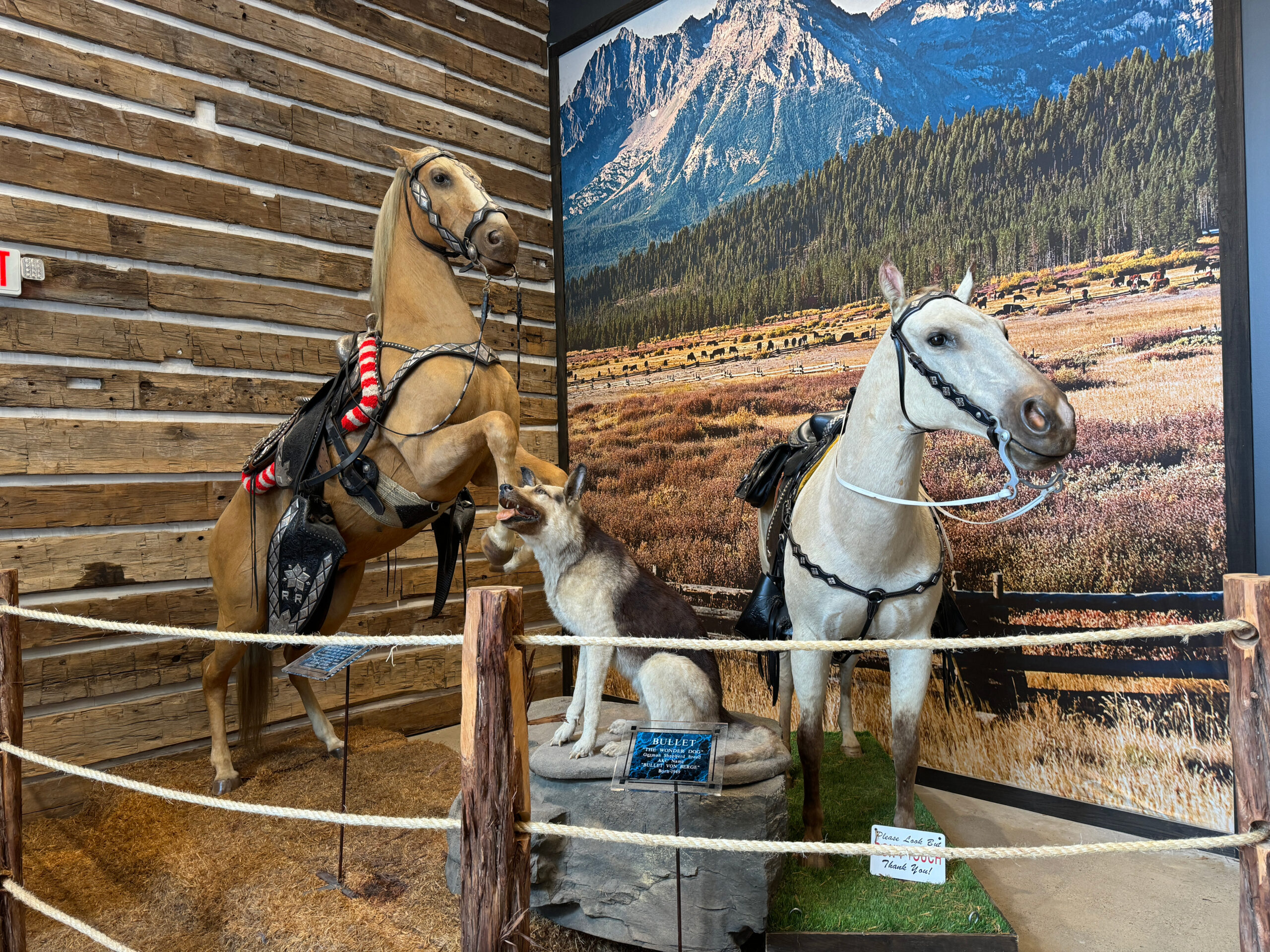 Trigger, Buttermilk, and Bullet