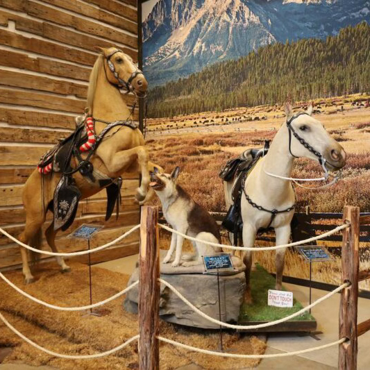 Trigger, Buttermilk, and Bullet